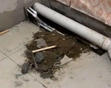 洮北卫生间漏水检测哪家好
