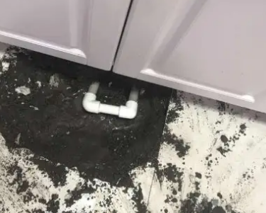 洮北查漏水哪家好