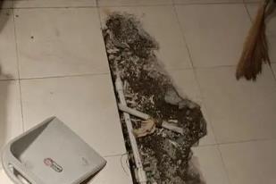洮北卫生间漏水检测电话